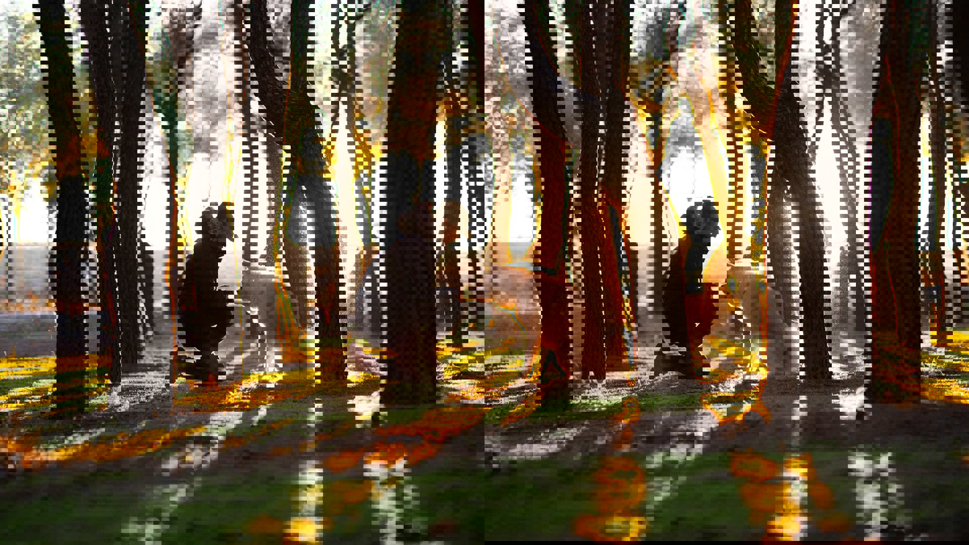 Training is not just for puppies and bad dogs